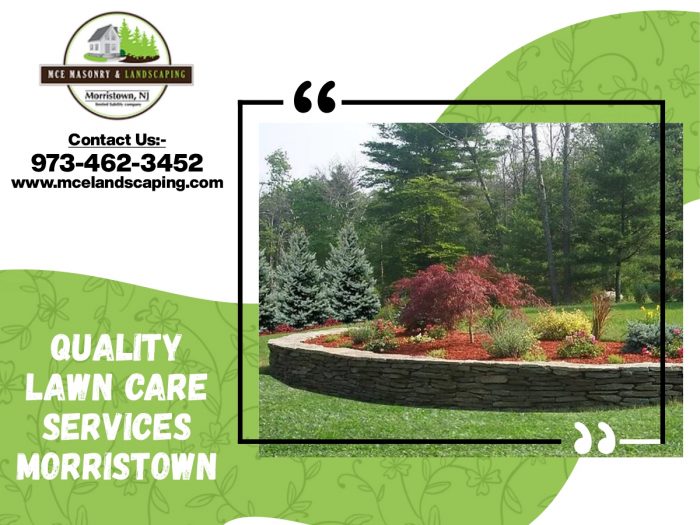 Quality Lawn Care Services in Morristown