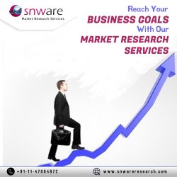 Reach Your BUSINESS GOALS With Our MARKET RESEARCH SERVICES
