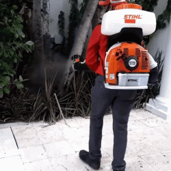Residential and Commercial Mosquito Services in the Cayman Islands