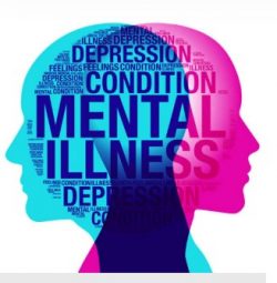 Mhfa Course Online