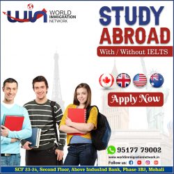 Study Abroad With Fees After Visa Package