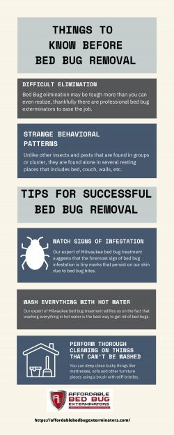 Tips For Successful Bed Bug Elimination