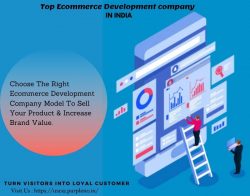 Top Ecommerce Development Company