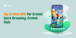 Top Cricket APIs For Cricket Score Streaming-crictez