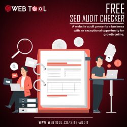Importance Of Free SEO Audit Checker – Web Tool