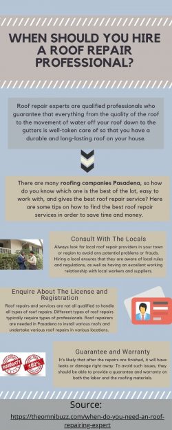 When Should You Hire A Roof Repair Professional?