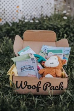 monthly subscription boxes canada