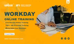 What Are The Benefits Of Workday Online Training?