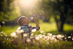 Personal Growth Coach
