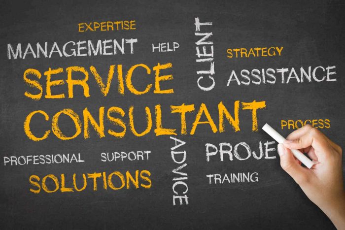 BUSINESS CONSULTING SERVICES