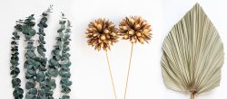 Buy Dried Flowers & Grass Online India | Pampas Grass Decor| Whispering Homes
