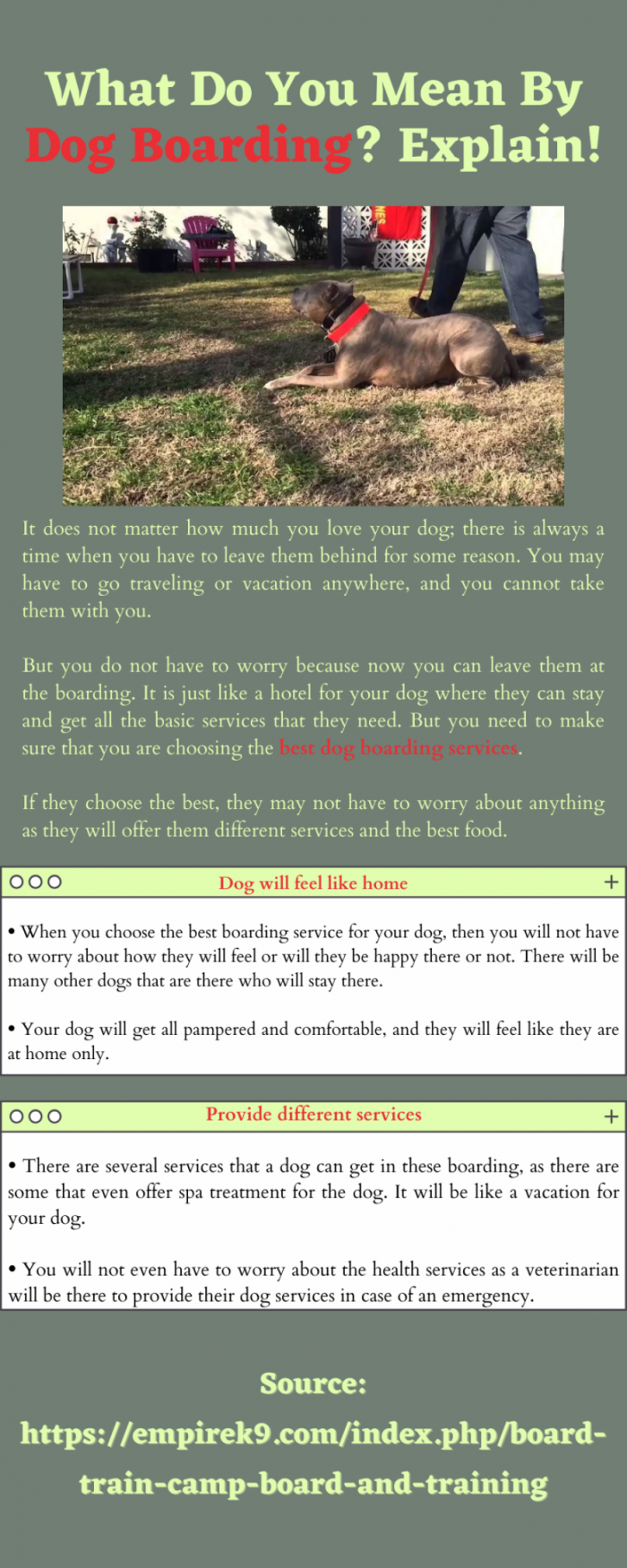 Dog Boarding-Provide different services