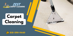 Best Cleaning Solution For Your Carpets