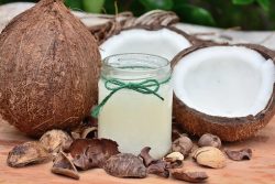 Coconut Oil Manufacturer | Coconut farm | Malaysia