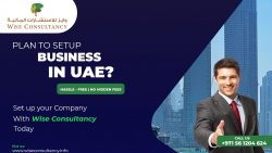 Company formation in Dubai Mainland