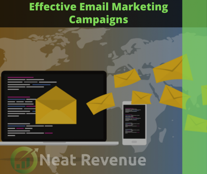 Effective Email Marketing Campaigns For Beginners – Neat Revenue