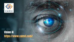 Get Vision AI Platform | Camvi Technologies