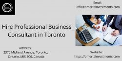 Hire Professional Business Consultant in Toronto