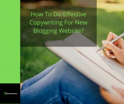How To Do Effective Copywriting For New Blogging Website?