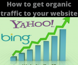 How To Get Organic Traffic To Your Website in 2022?