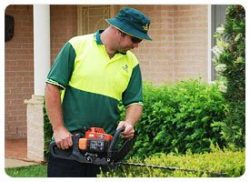 Lawn Mowing Chadstone