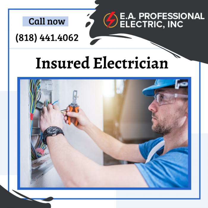 Licensed Electrical Service
