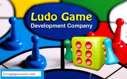 Ludo Game Development Company | Avenging Security PVT LTD.