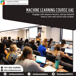 Machine Learning Course UAE