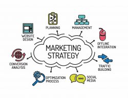 Learn How To Start Marketing Strategy