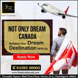 Not Only Dream Canada