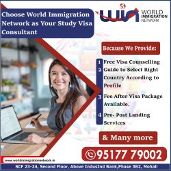 Choose World Immigration Network as Your Study Visa Consultant