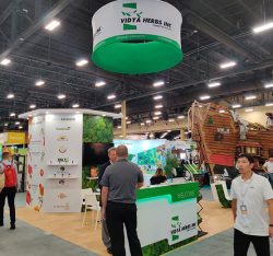 Reasons As To Why A Trade Show Booth Rental Will Be A Good Option