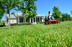 7 Tips to Start a Successful Lawn Care Business