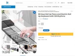 Portable Roll up piano