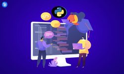 Python Web App Development Cost