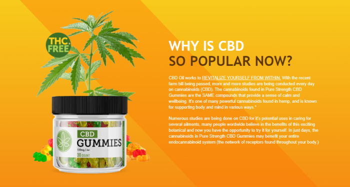 7 Reasons Why You Should Invest In Sandra Bullock CBD Gummies.