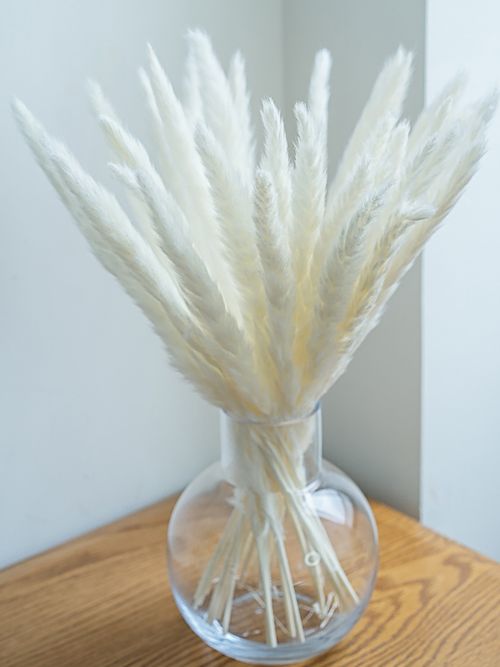 Buy Dried Pampas Grass for Home Decor Online India | Whispering Homes