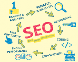 Seo Sevices In Florida