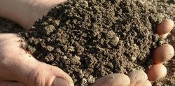 Simple Tank Services – Soil Testing Services in Plainfield, NJ