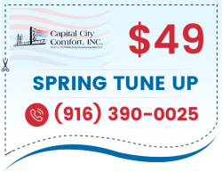 $49 Spring Tune Up