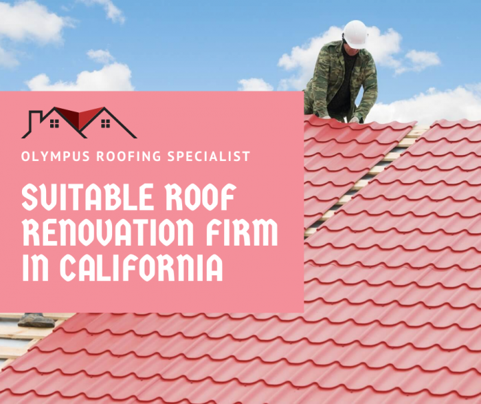 Suitable Roof Renovation Firm In California