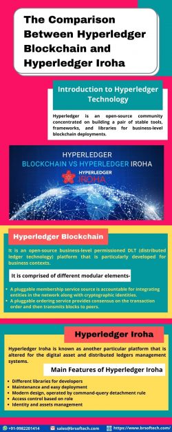 The Comparison Between Hyperledger Blockchain and Hyperledger Iroha
