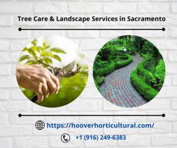 Tree Care and Landscape Design Services