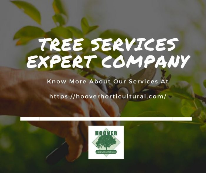 Tree Services Expert Company