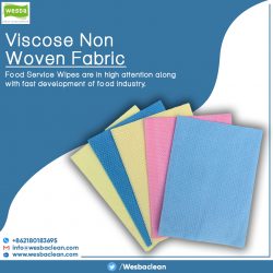 Viscose Non Woven Fabric