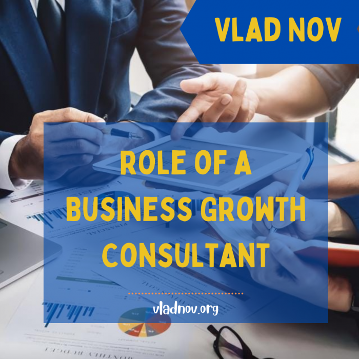 Vlad Nov – Role Of Consultant in Business Growth