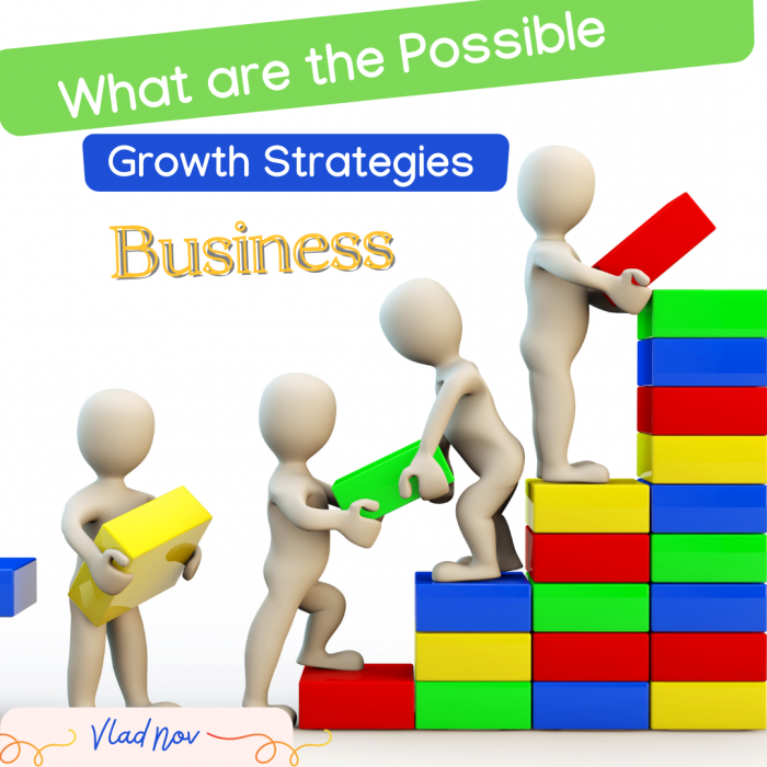 What are the possible growth strategies for companies?