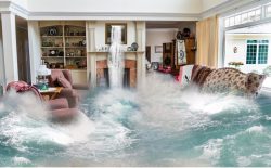 Water Damage Restoration Experts in Maryland