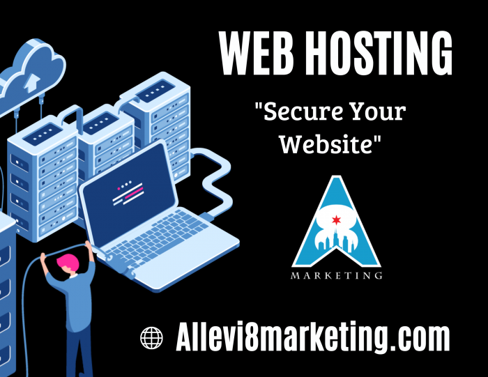 Professional Web Hosting for Your Business