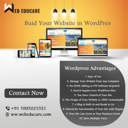 Website Design Agency | WordPress Website Design | Web Educare